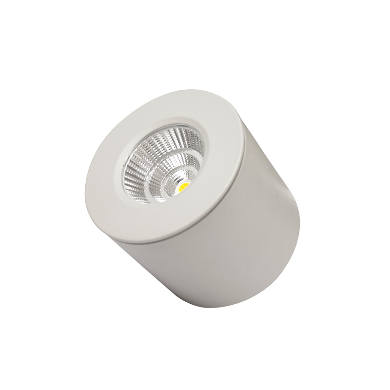 Losiled Productos DLSPR73020  / 12